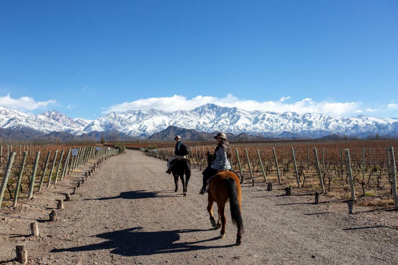 Casa De Uco Vineyards And Wine Resort Los Arboles Luaran gambar